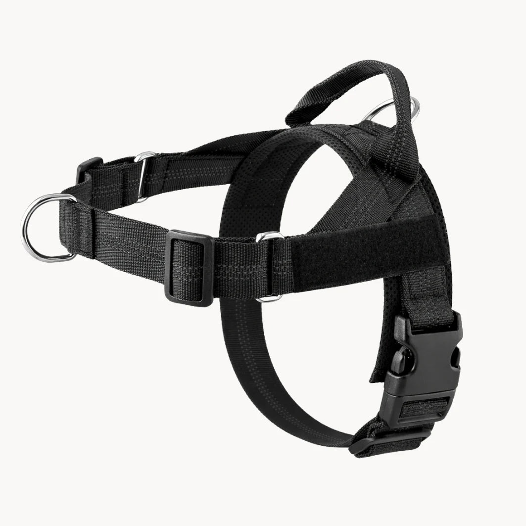 Cosyva Harnais anti-traction pour chien