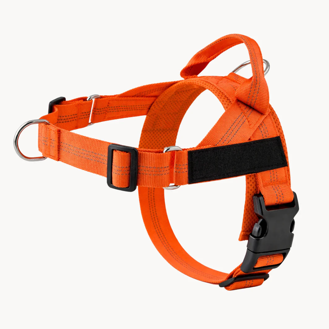 Cosyva Harnais anti-traction pour chien
