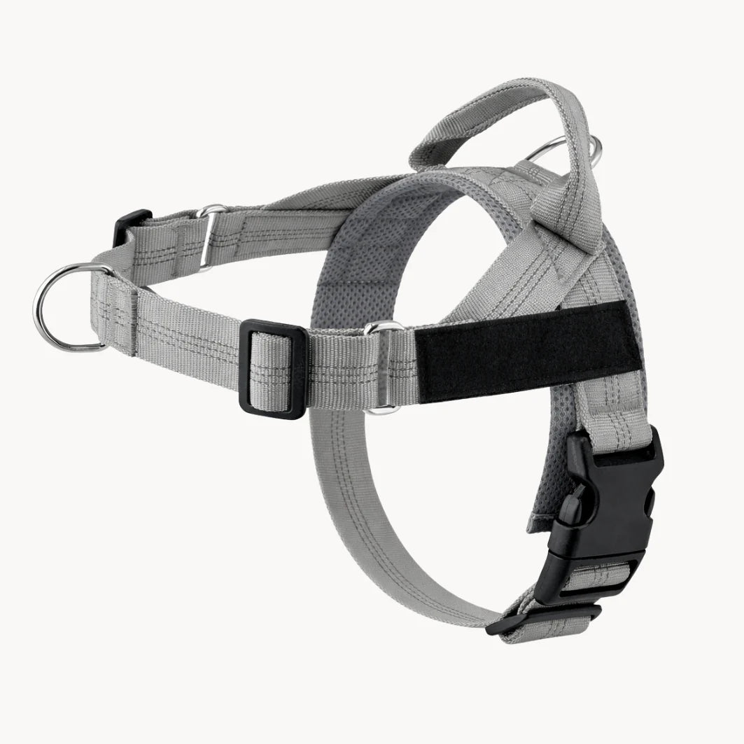 Cosyva Harnais anti-traction pour chien