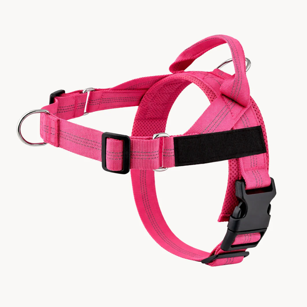 Cosyva Harnais anti-traction pour chien