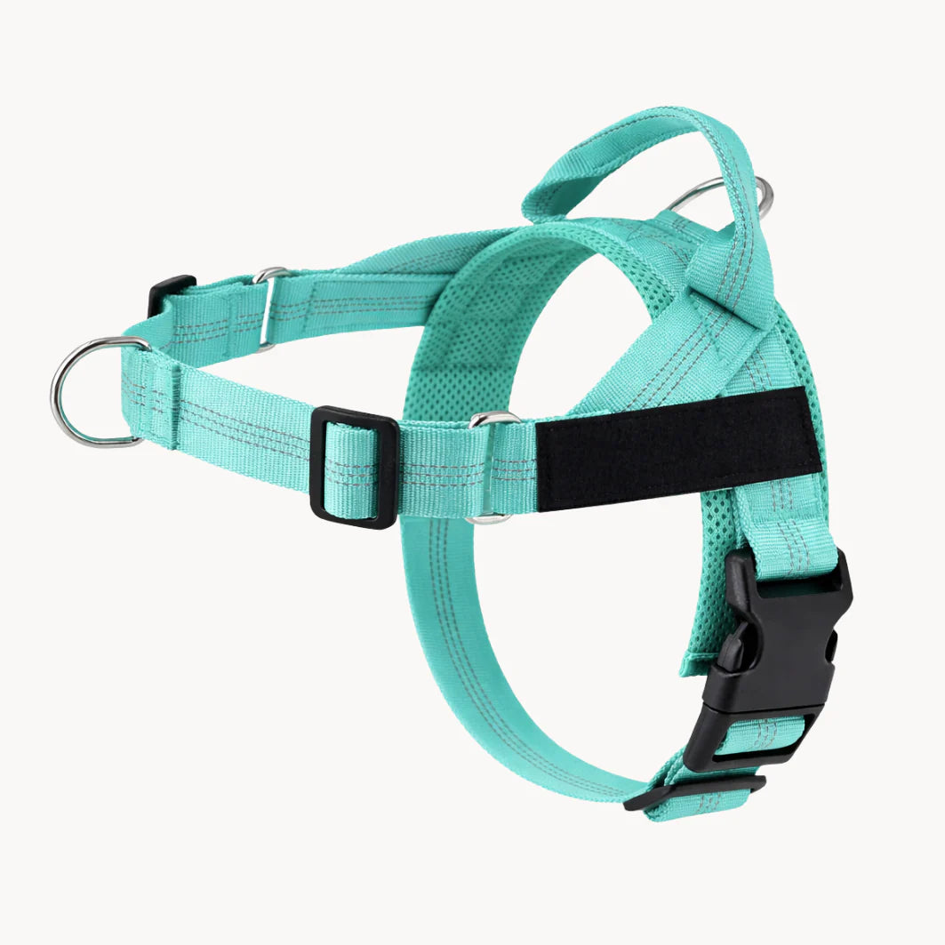 Cosyva Harnais anti-traction pour chien