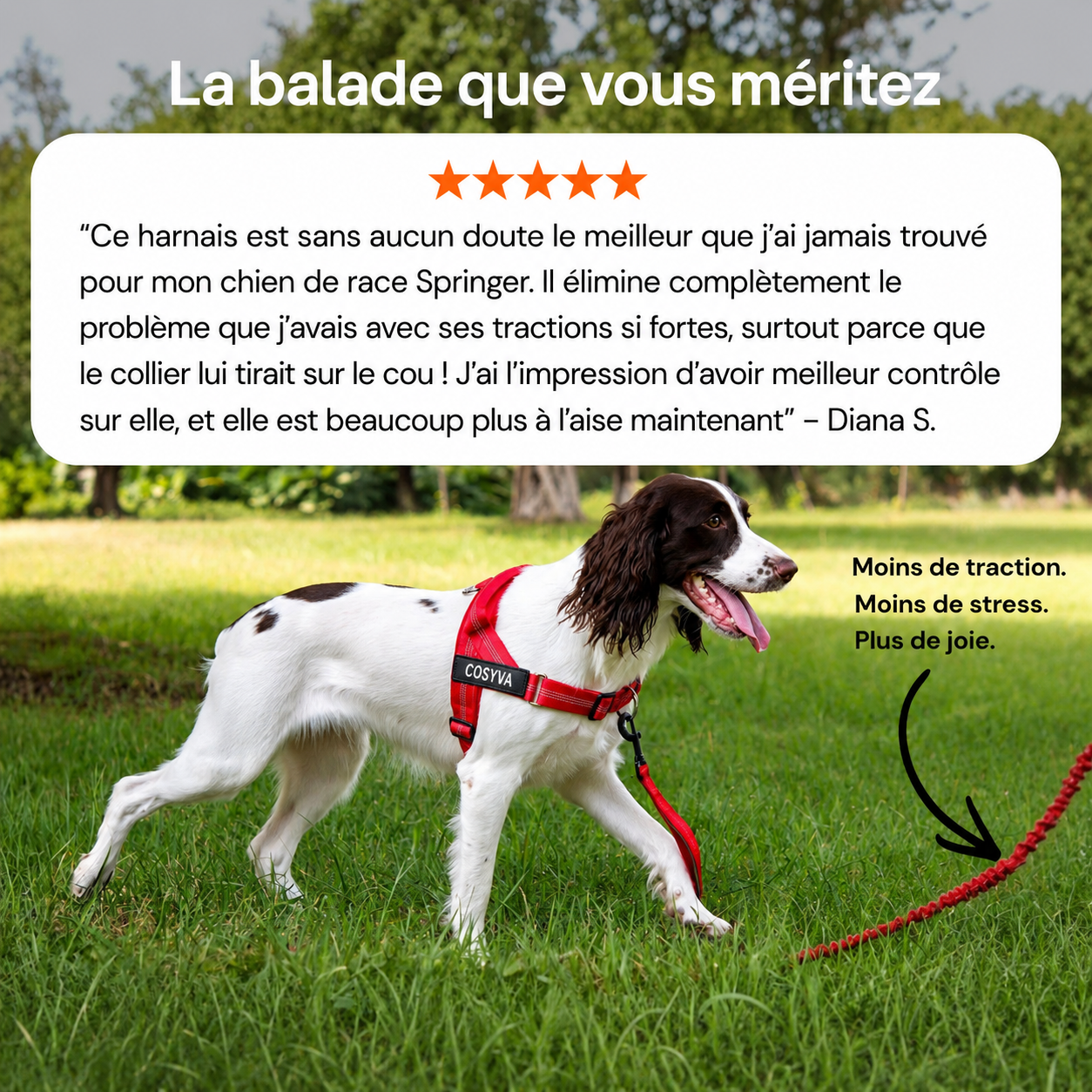 Cosyva Harnais anti-traction pour chien