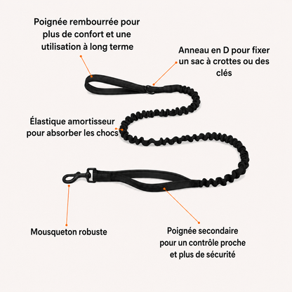Cosyva Harnais anti-traction pour chien