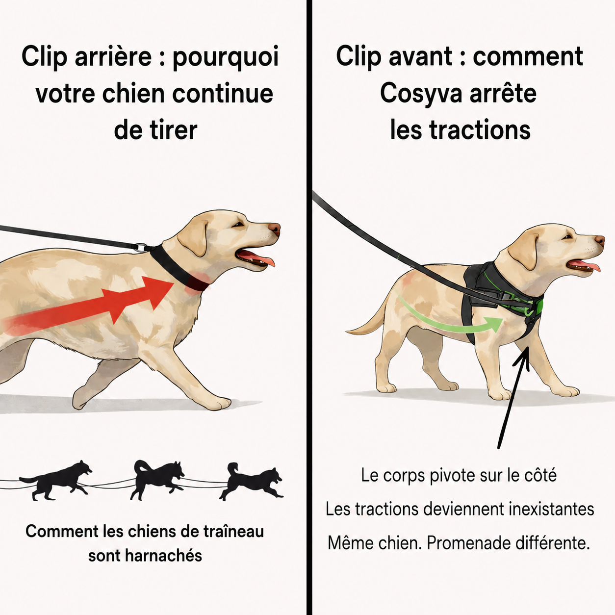 Cosyva Harnais anti-traction pour chien