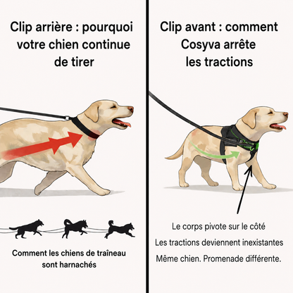 Cosyva Harnais anti-traction pour chien