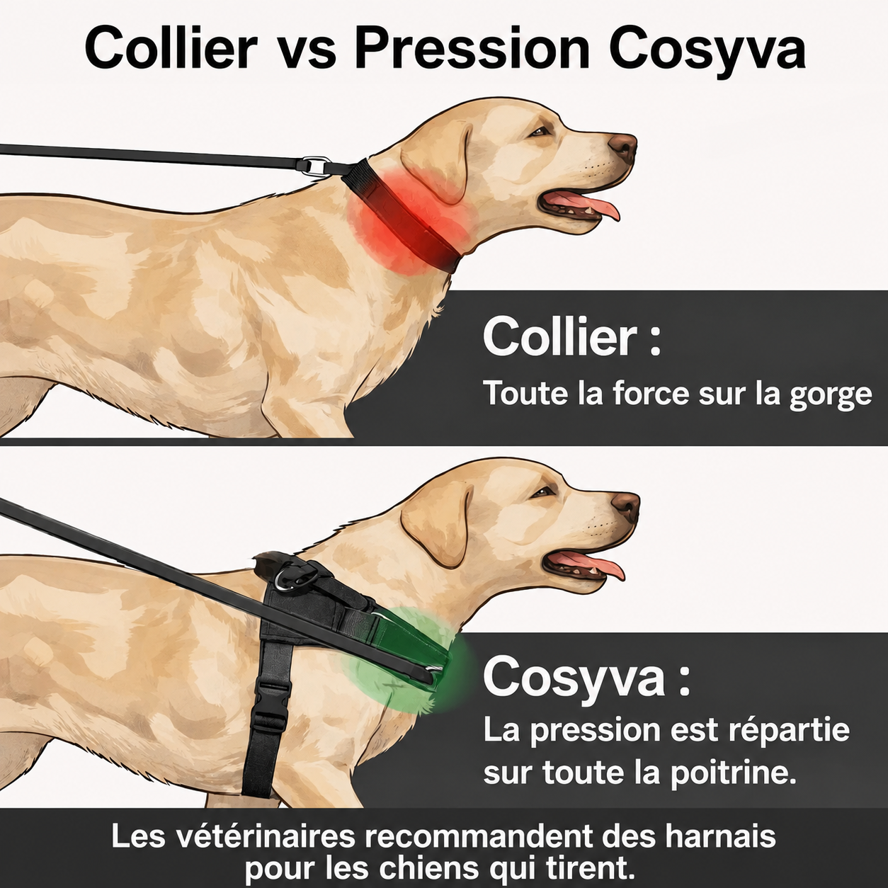 Cosyva Harnais anti-traction pour chien