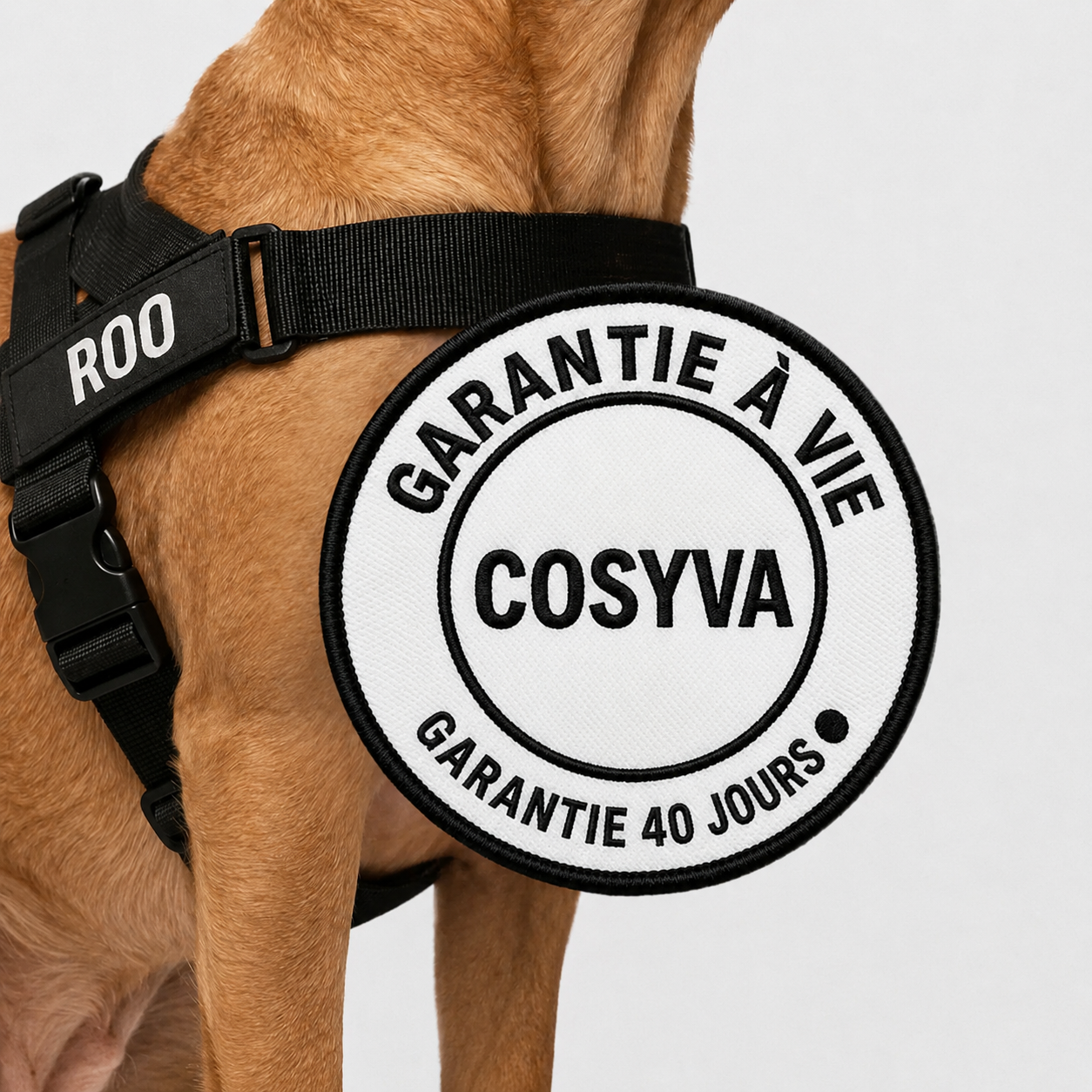Cosyva Harnais anti-traction pour chien