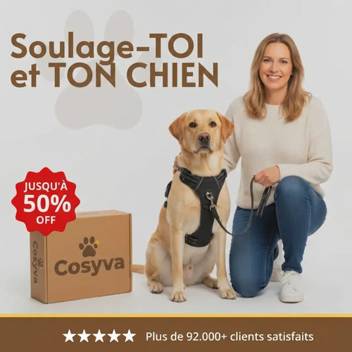 COSYVA HARNAIS ANTI-TRACTION