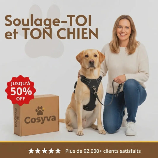COSYVA HARNAIS ANTI-TRACTION