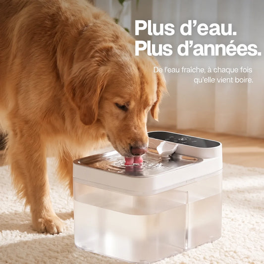 fontaine-01-01-hero