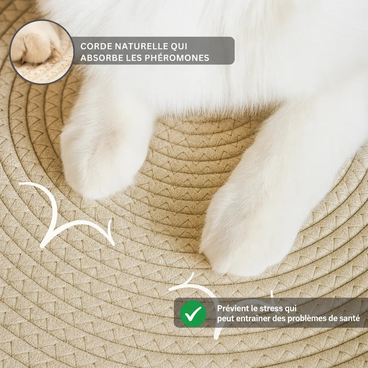 Instinct Basket | Découvrez le premier territoire naturel pour chats d'intérieur, basé sur la recherche