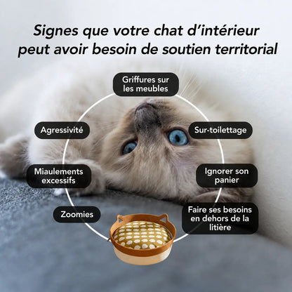 Instinct Basket | Découvrez le premier territoire naturel pour chats d'intérieur, basé sur la recherche