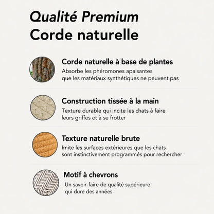 Instinct Basket | Découvrez le premier territoire naturel pour chats d'intérieur, basé sur la recherche