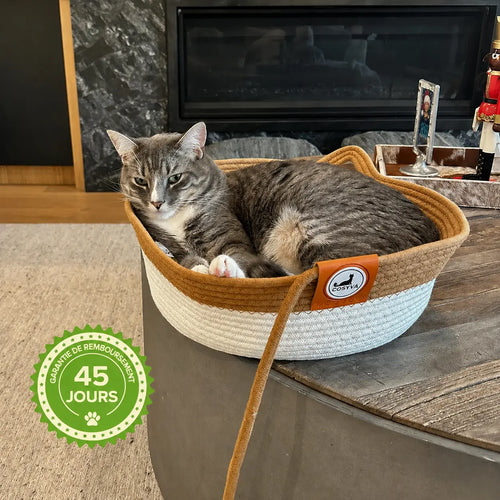 Instinct Basket | Découvrez le premier territoire naturel pour chats d'intérieur, basé sur la recherche