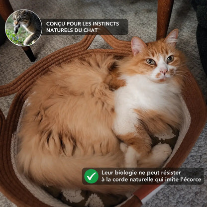Instinct Basket | Découvrez le premier territoire naturel pour chats d'intérieur, basé sur la recherche