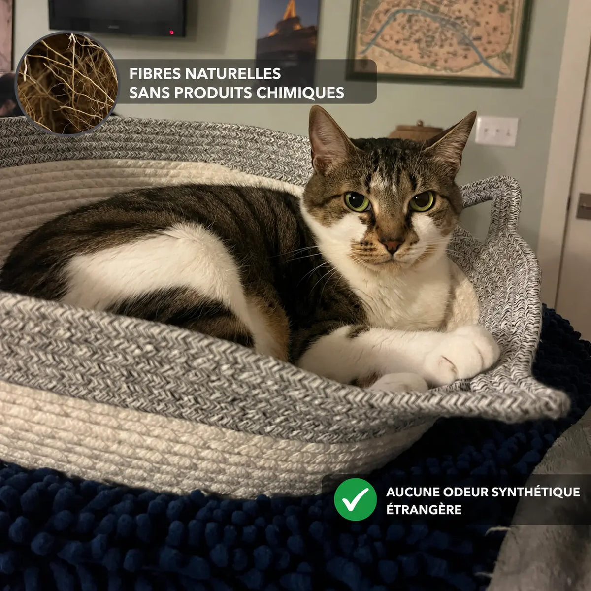 Instinct Basket | Découvrez le premier territoire naturel pour chats d'intérieur, basé sur la recherche