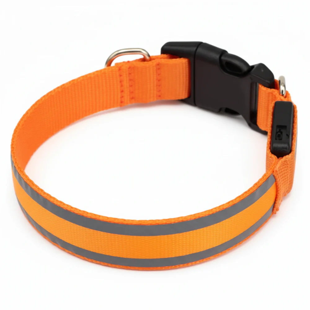 Cosyva Collier lumineux
