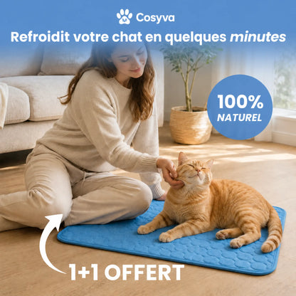 Tapis rafraîchissant Cosyva (2 pour 1)