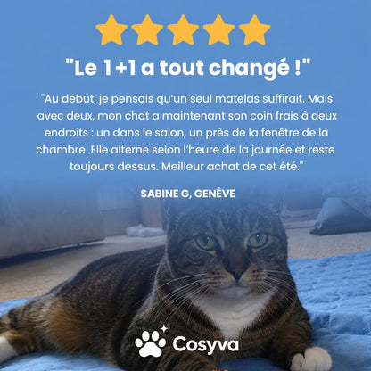 Tapis rafraîchissant Cosyva (2 pour 1)