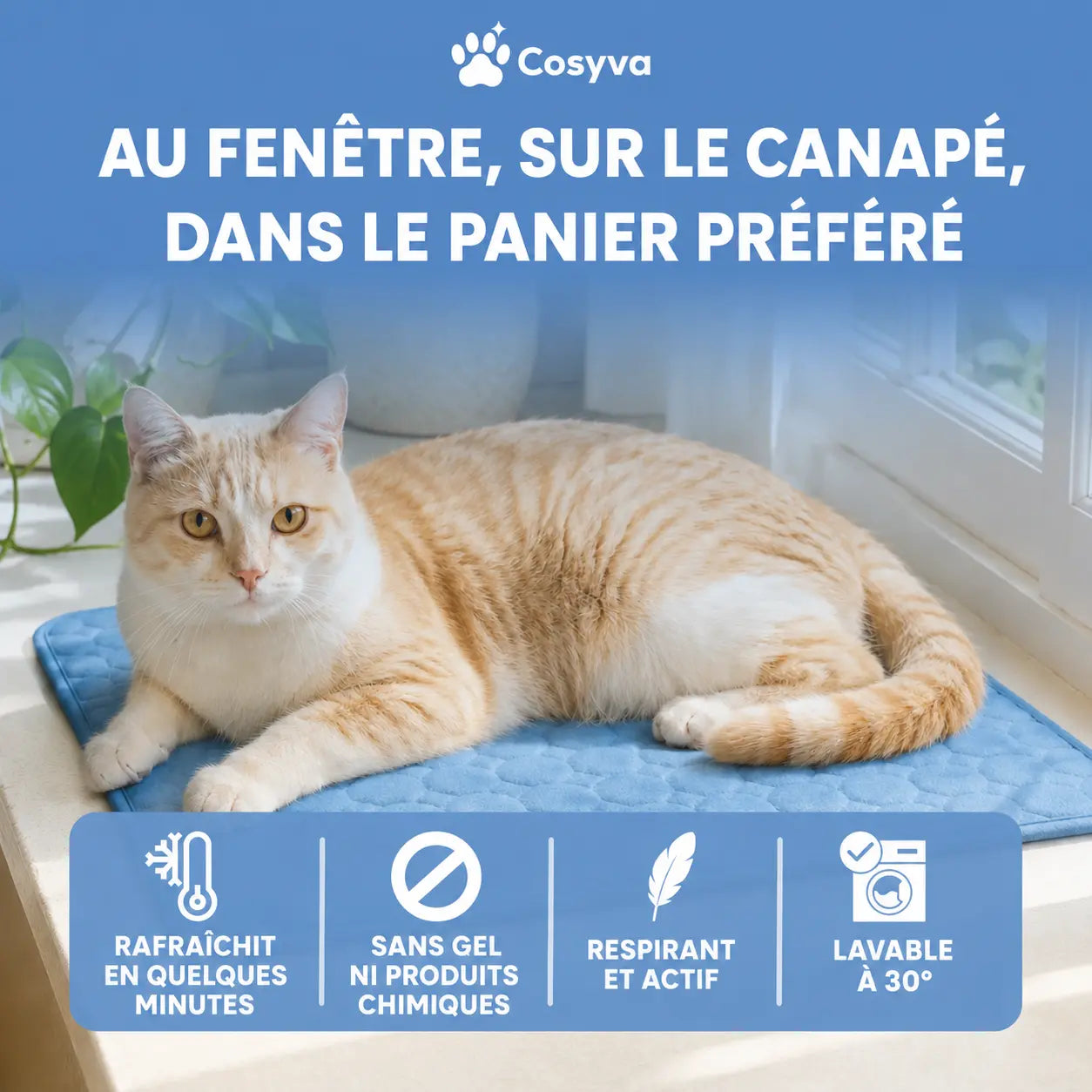 Tapis rafraîchissant Cosyva (2 pour 1)