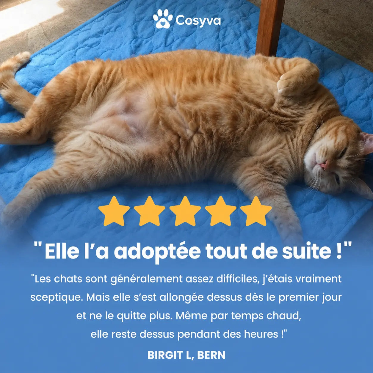 Tapis rafraîchissant Cosyva (2 pour 1)