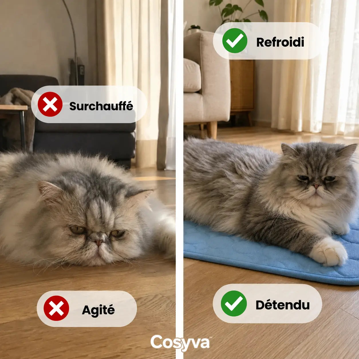 Tapis rafraîchissant Cosyva (2 pour 1)