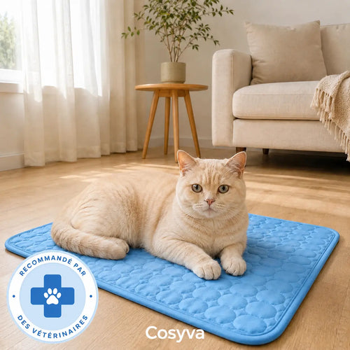 Tapis rafraîchissant Cosyva (2 pour 1)