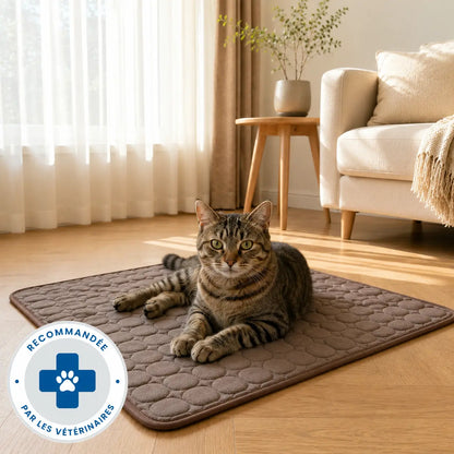 Tapis rafraîchissant Cosyva (2 pour 1)
